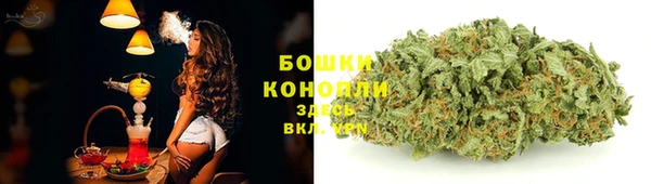 винт Армянск