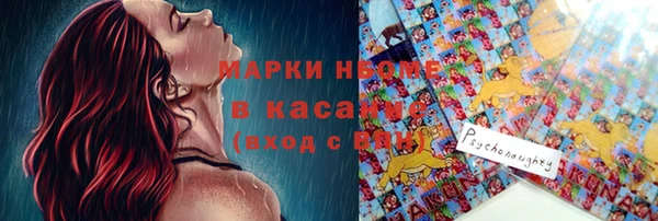 Альфа ПВП Аркадак