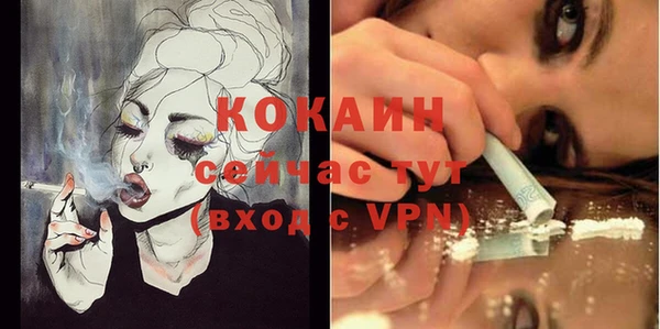 Альфа ПВП Аркадак