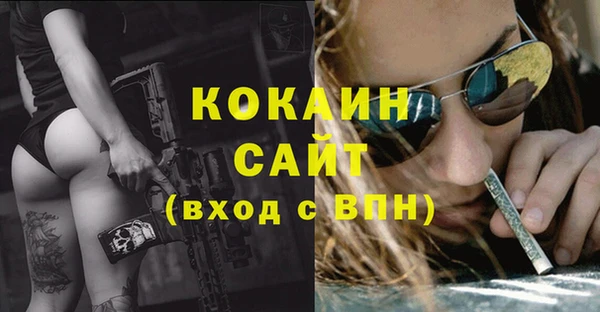 Альфа ПВП Аркадак