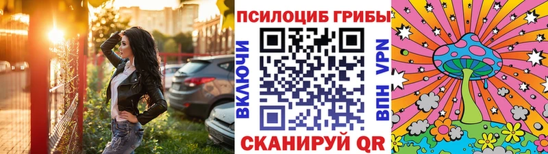 Псилоцибиновые грибы Cubensis Фролово