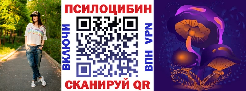 Псилоцибиновые грибы Psilocybine cubensis  Фролово 
